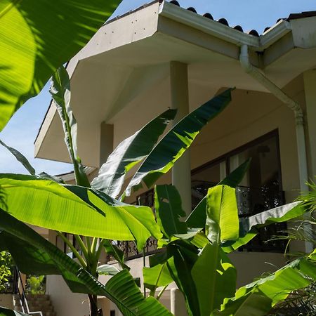 Sol Y Sombra Bed & Breakfast Bocas Town Bagian luar foto