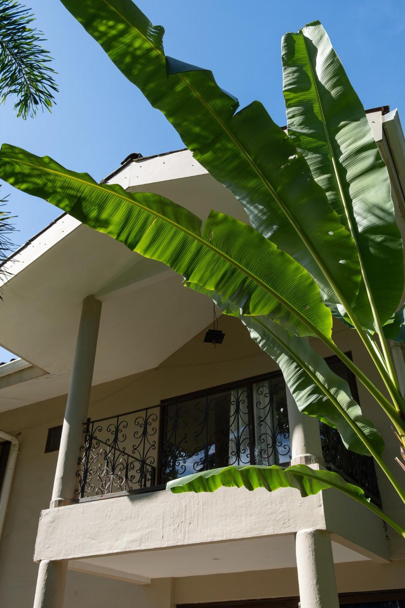 Sol Y Sombra Bed & Breakfast Bocas Town Bagian luar foto